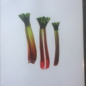 Photograph of celery by Maren Caruso